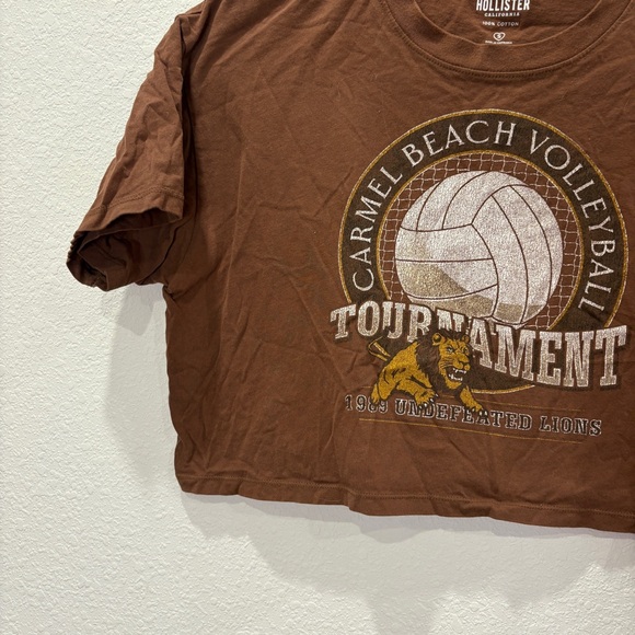 Hollister Carmel Beach Volleyball Cropped Graphic Tee Brown Womens Small - Picture 3 of 8